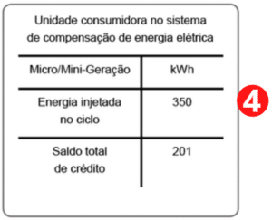 Energia Injetada e Saldo Total de Créditos